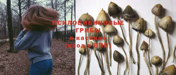 кристаллы Нея