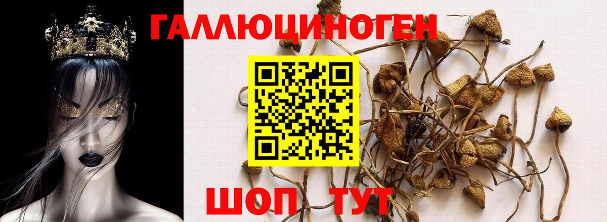 Галлюциногенные грибы MAGIC MUSHROOMS  Псилоцибиновые грибы MAGIC MUSHROOMS  Нижний Новгород  продажа наркотиков  Вход с VPN 