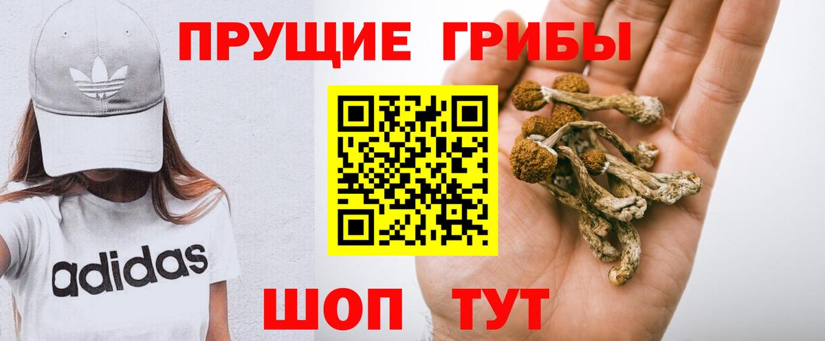 Псилоцибиновые грибы Psilocybine cubensis  Псилоцибиновые грибы мицелий  Нижний Новгород 